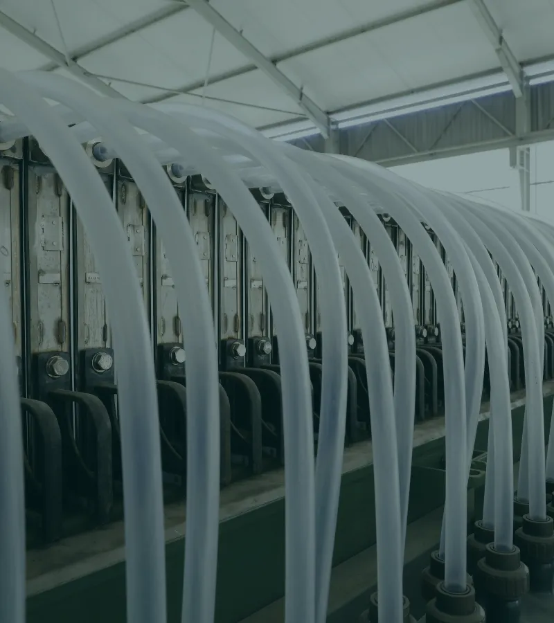Electrolysis based technology